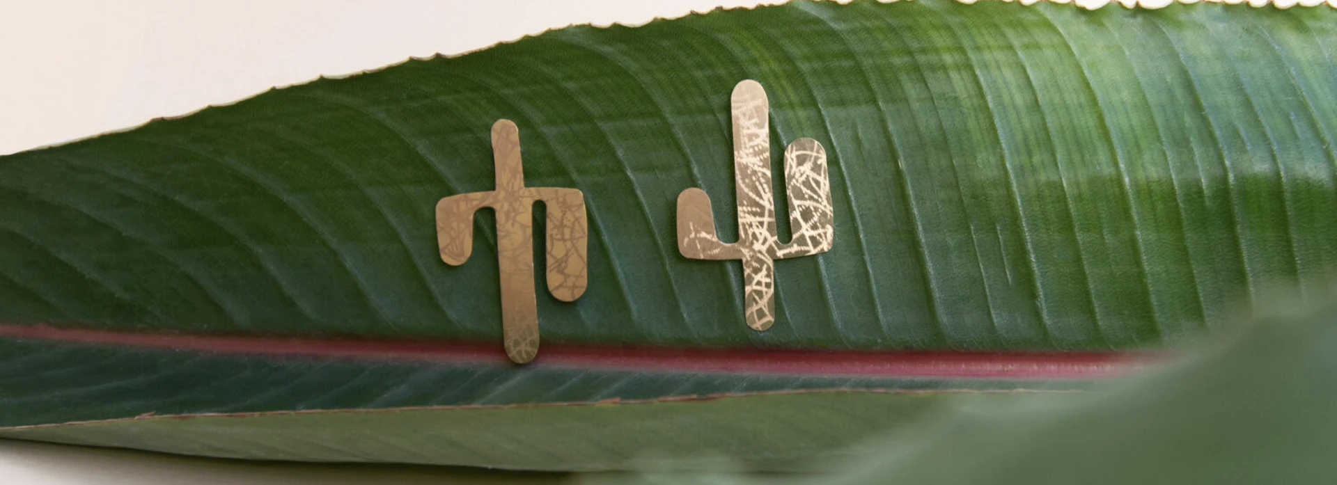 Torca aretes nopal