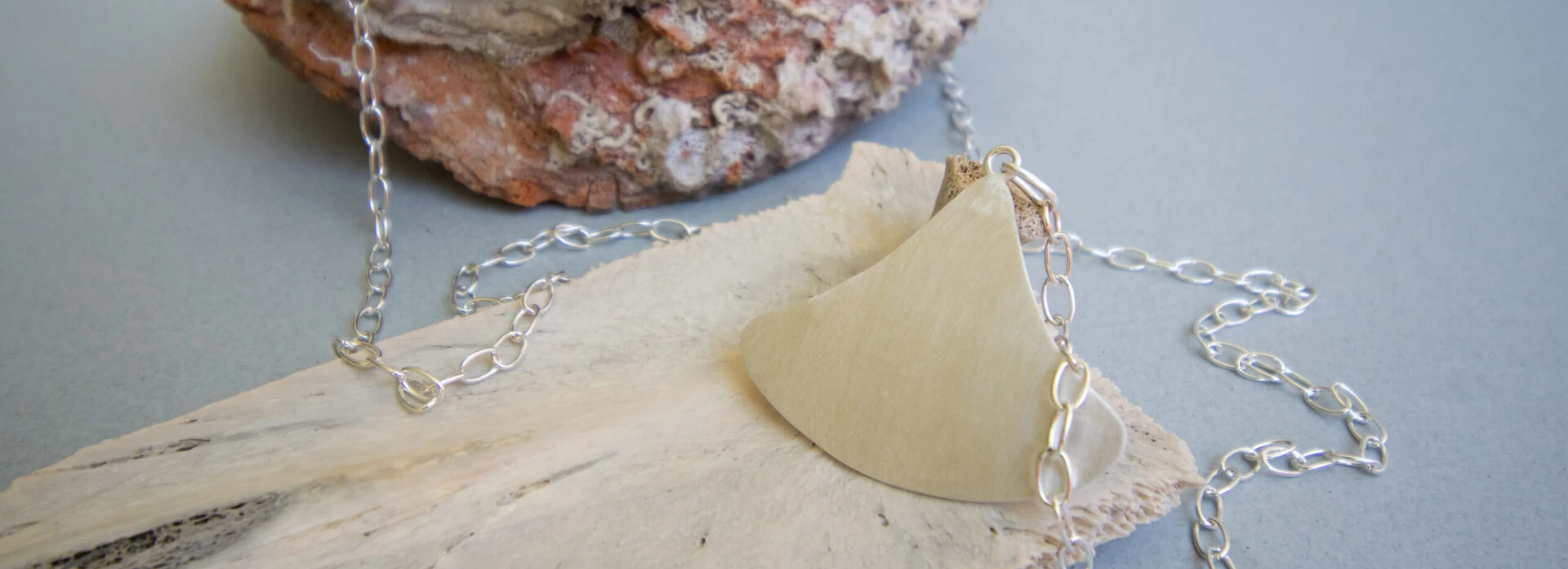 Torca collar mantarraya