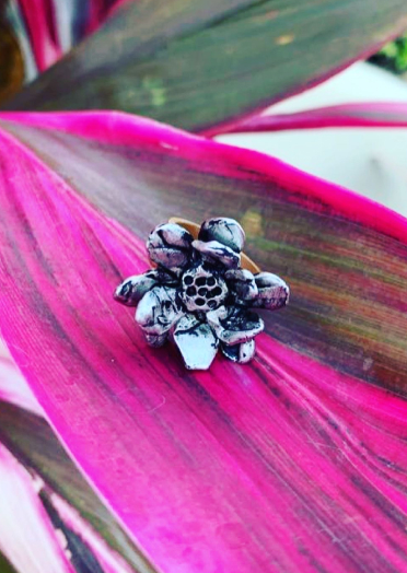 Anillos